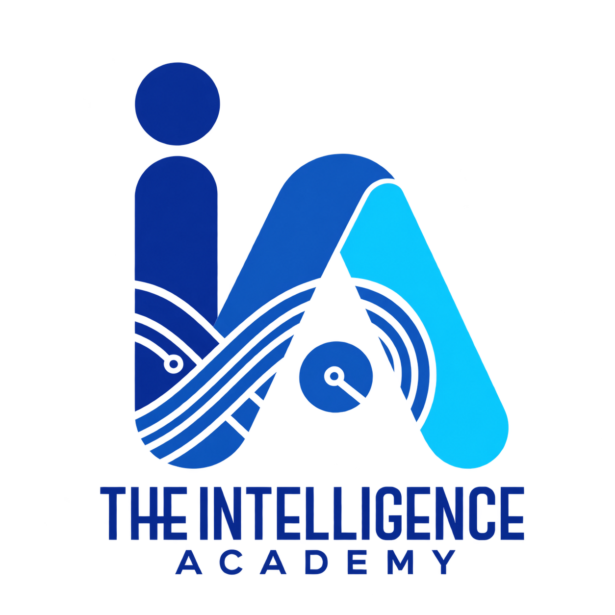 The Intelligence Academy
